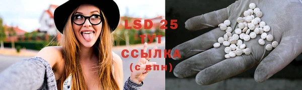 MDMA Premium VHQ Новозыбков