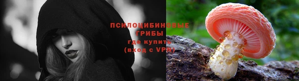 MDMA Premium VHQ Новозыбков