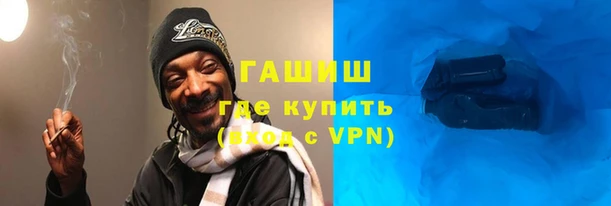 мяу мяу мука Цоци-Юрт
