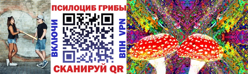 Галлюциногенные грибы Cubensis  купить наркотик  ОМГ ОМГ ссылка  Орёл 